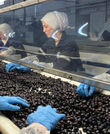Marmarabirlik'te 2026/2027 Sezonu İçin Rekolte Beyan Süreci Başladı 16 marmarabirlikte-20262027-sezonu-icin-rekolte-beyan-sureci-basladi-aLuH6GPv.jpg