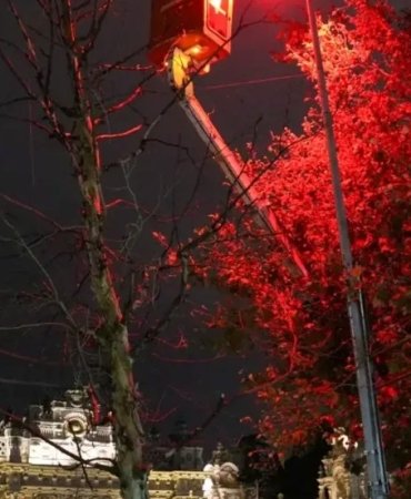 BEDAŞ'tan 29 Ekim'e Özel Aydınlatma, Dolmabahçe Caddesi Kırmızı Beyaza Büründü 7 bedastan-29-ekime-ozel-aydinlatma-dolmabahce-caddesi-kirmizi-beyaza-burundu-ru8lIrfh.jpg